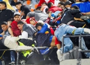 三亿体育体育官网入口-关于桑普多利亚主场战平对手，保级前景堪忧的信息