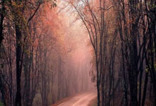 三亿体育体育网页版入口-女队全力以赴，斗志高昂赢得胜利——青春与坚韧的动人篇章