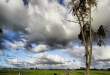 三亿体育体育网页版入口-女队全力以赴，斗志高昂赢得胜利——青春与坚韧的动人篇章