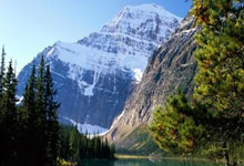 三亿体育体育直播-捷克队奋力抗衡，止步欧国联淘汰赛：足球精神的炽热展现