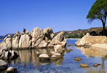 三亿体育体育vip注册-上港客场狭胜，坚守领先位置不动摇